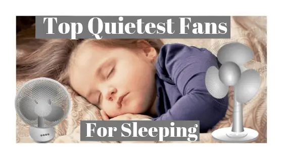 Best Top Quietest Fans